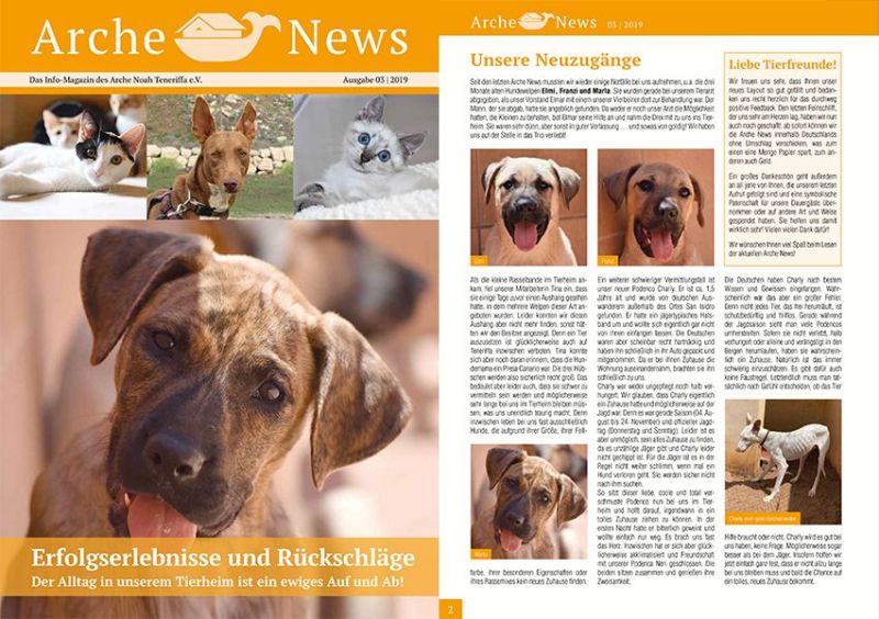 Info-Magazin