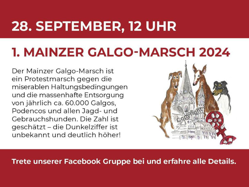 Save the date: 28.09.2024 - Mainzer Galgo-Marsch!