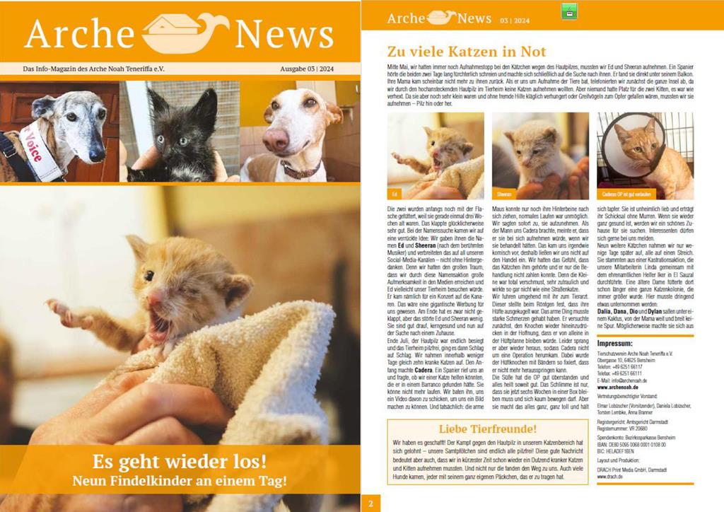 Die neuen Arche News sind da!