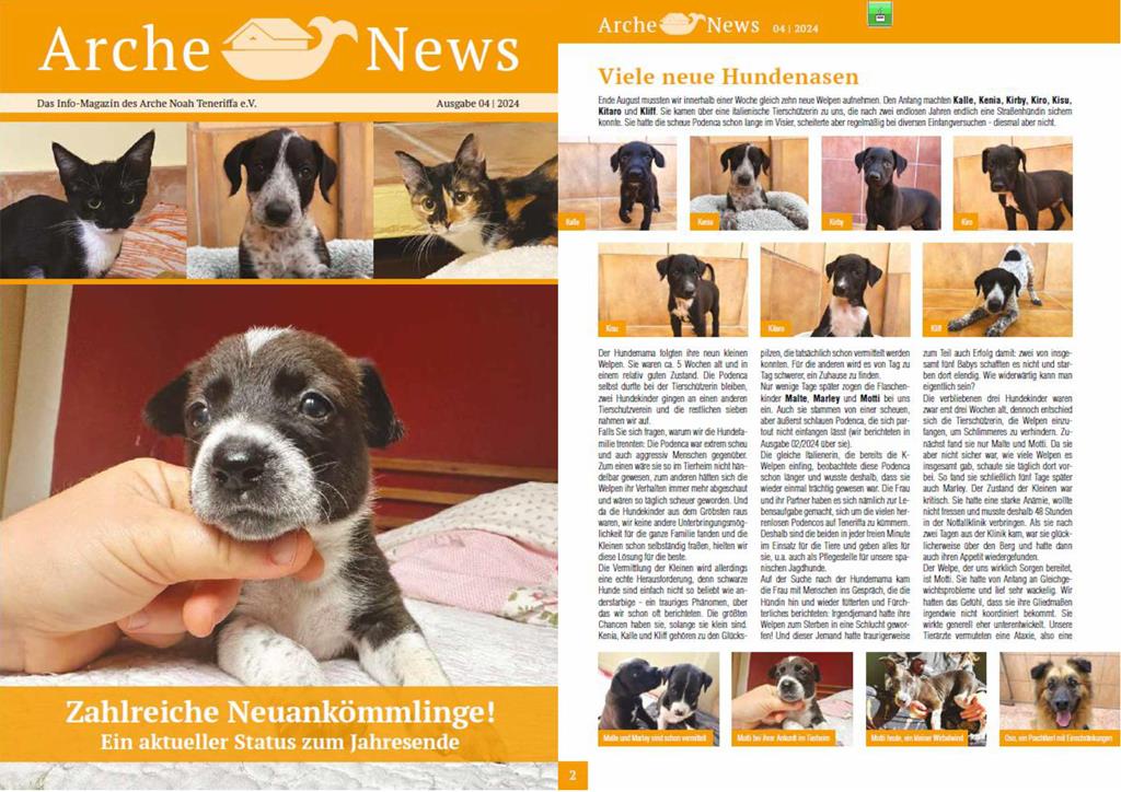 Die neuen Arche News sind da!