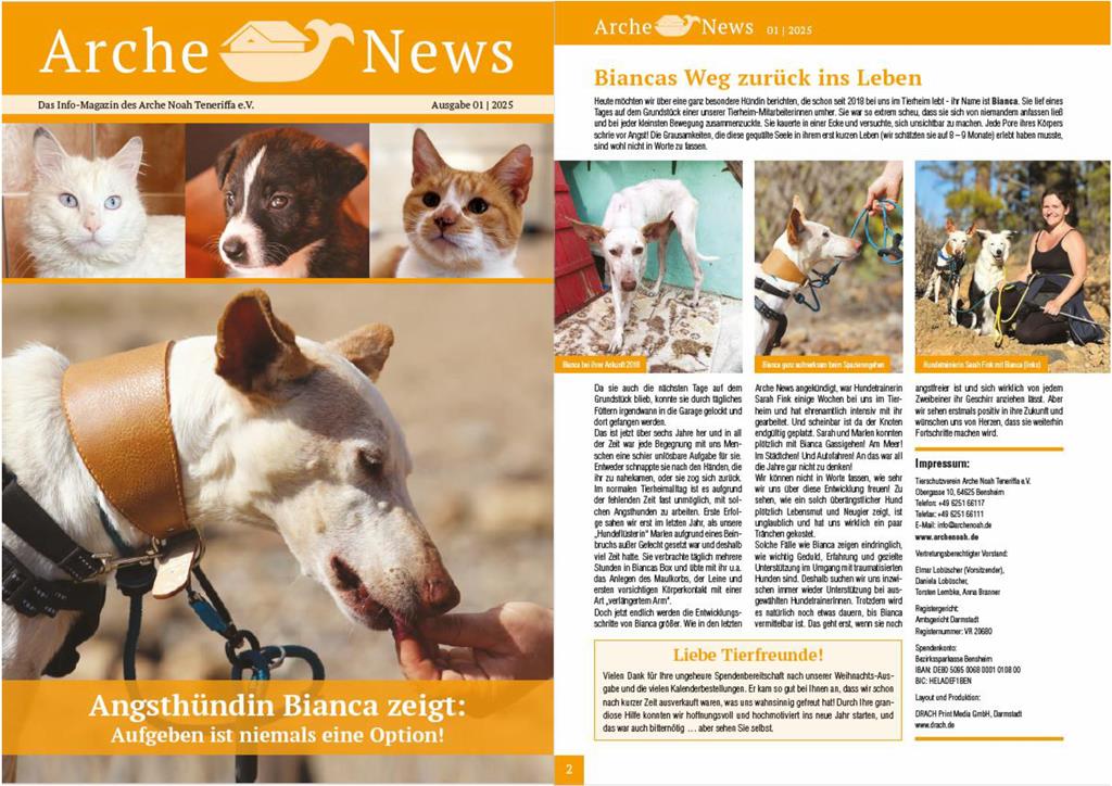 Die neuen Arche News sind da!