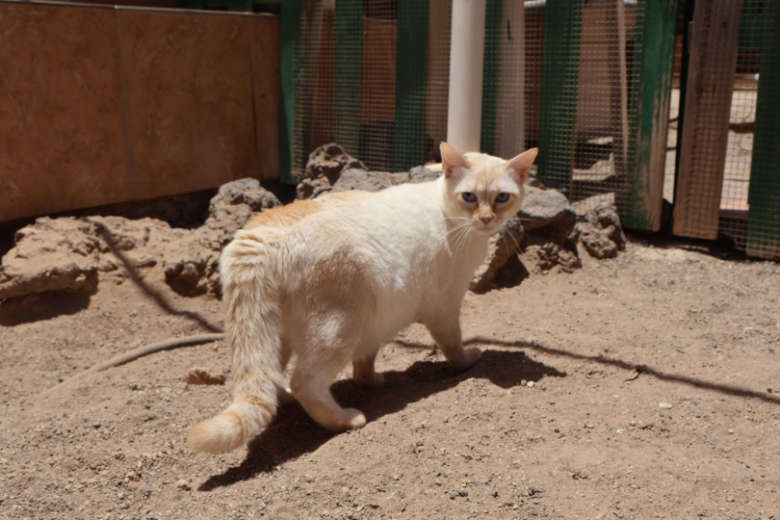 Gaspar