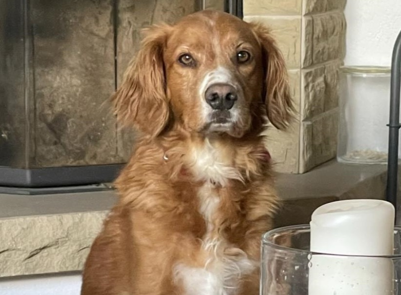 Sam