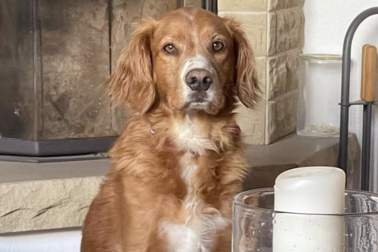 Sam