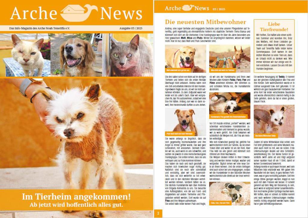 Arche News 3/2025 - Paten gesucht!