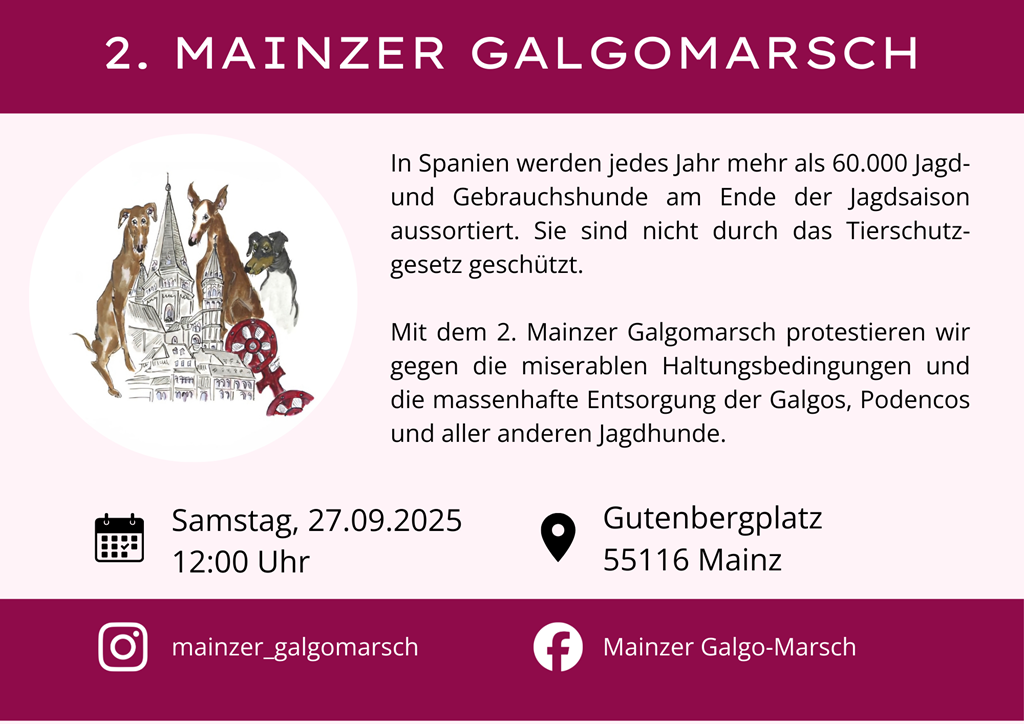 Mainzer Galgomarsch 2025!
