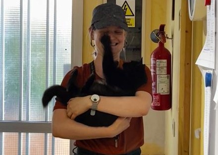 Unsere Zeit auf Teneriffa 🌴🐾