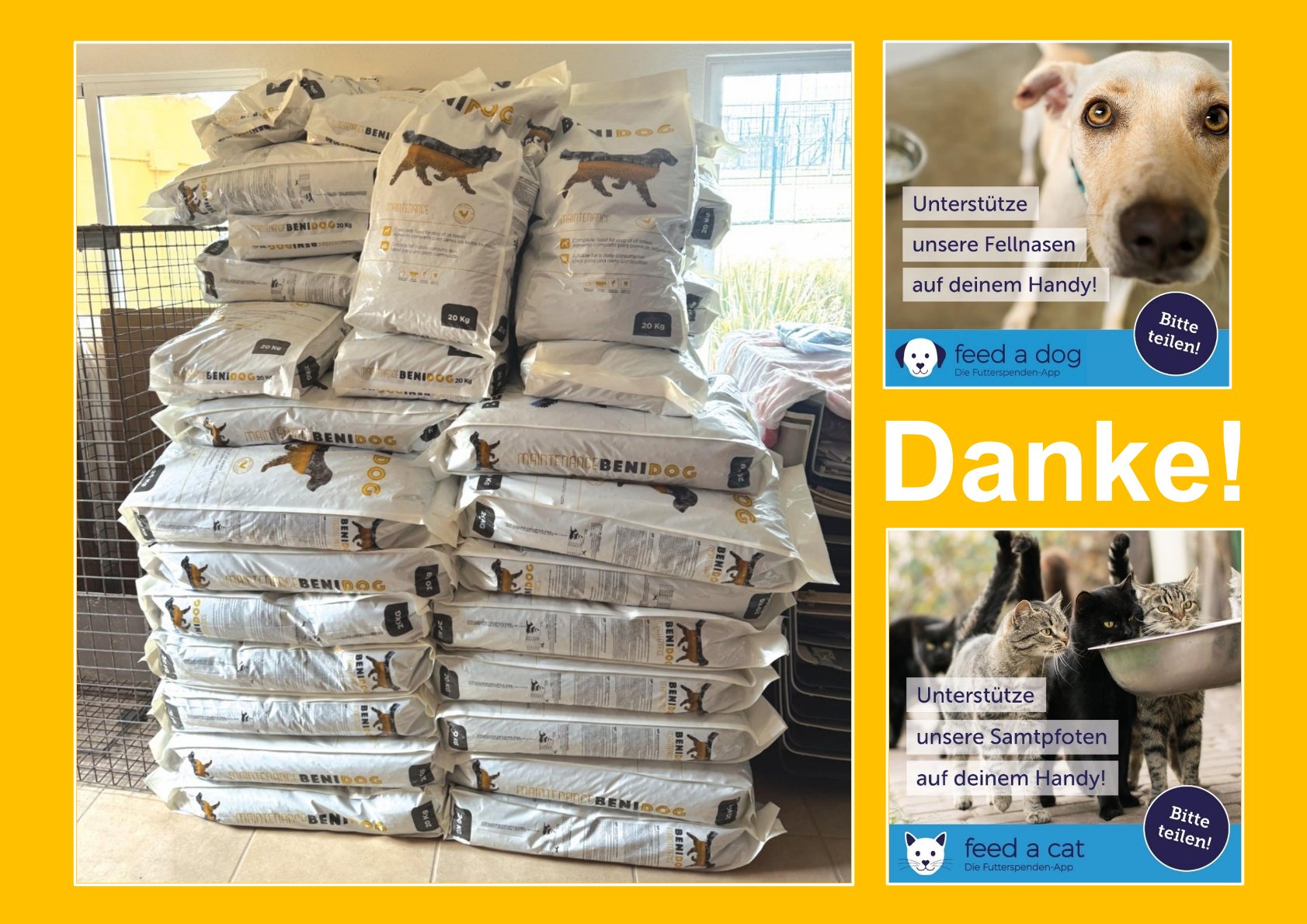 Danke feed a dog / feed a cat