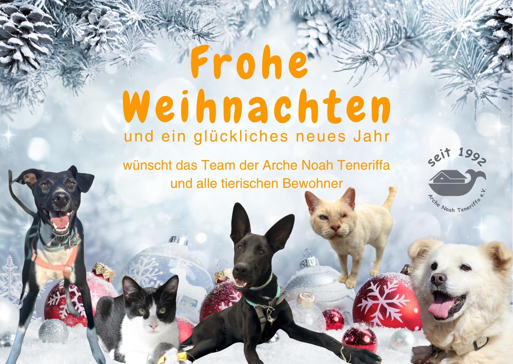 Frohe Weihnachten!