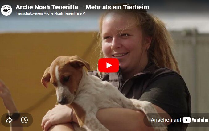 Arche Image-Video 2026 – Mehr als ein Tierheim!