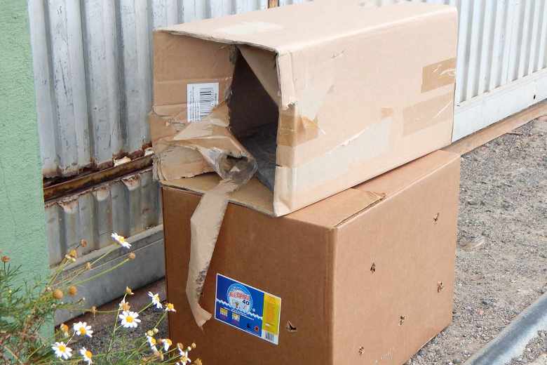 Ausgesetzte Tiere (3)_b