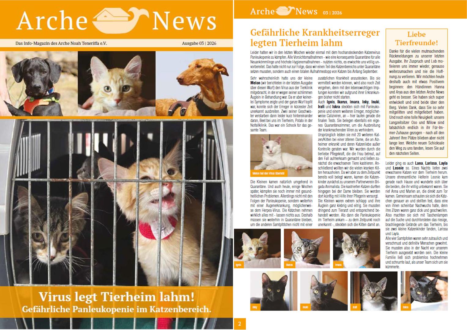 Arche News 3/2026!