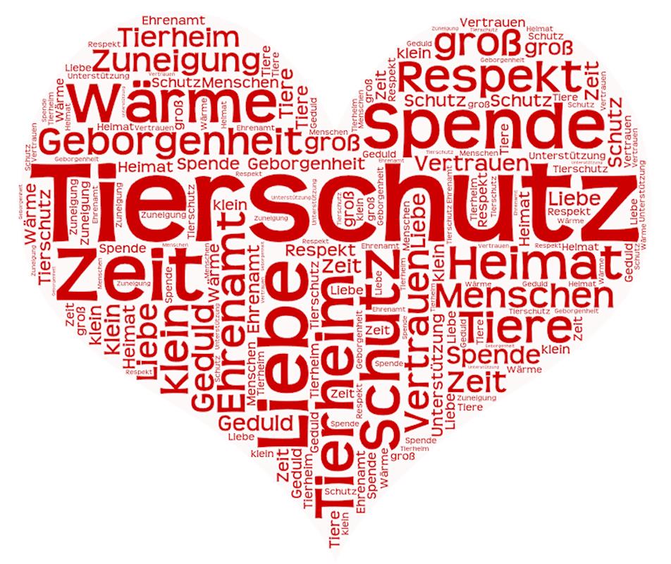 Am 04. Oktober ist Welttierschutztag!